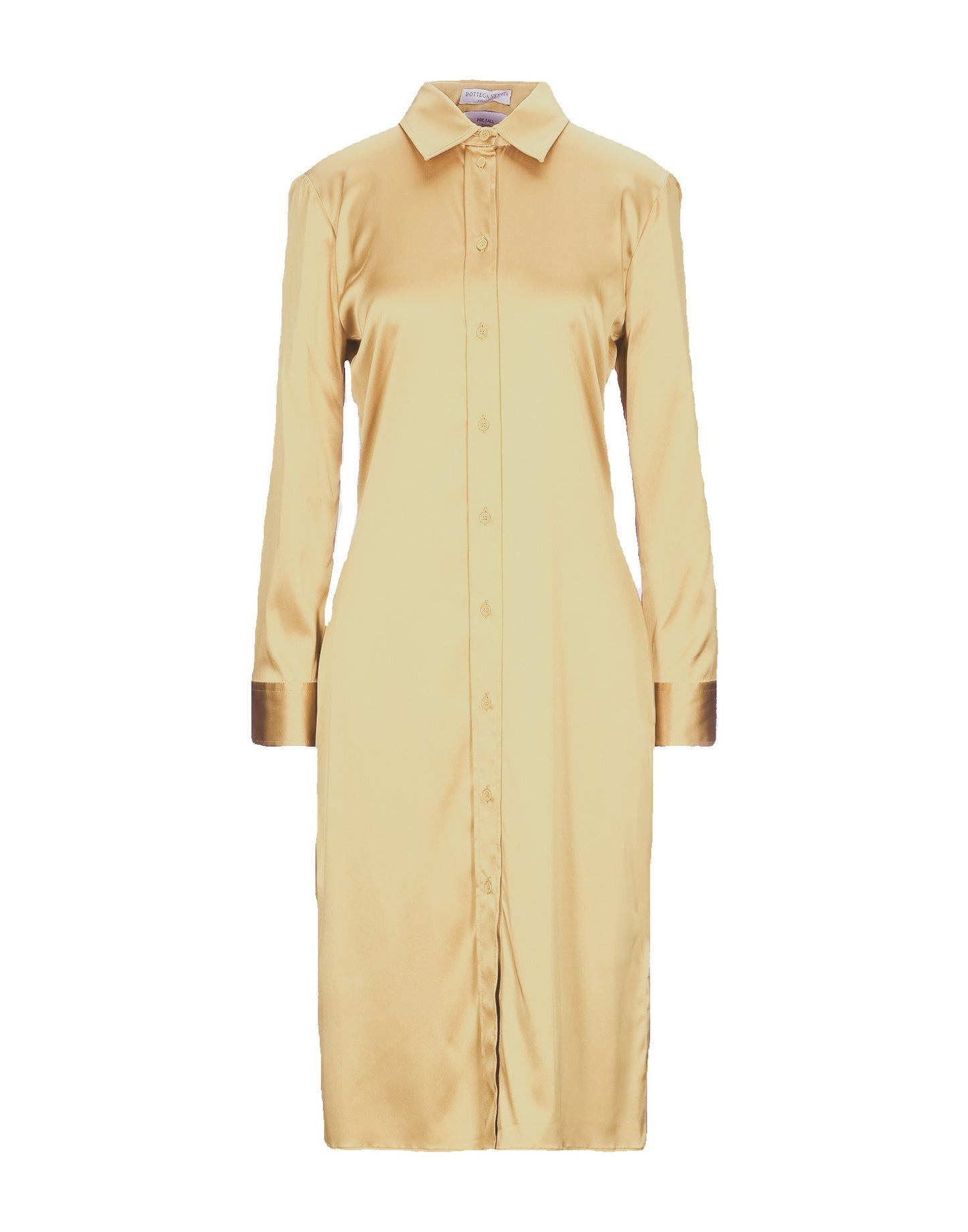 Bottega Veneta silk shirt dress (pre-owned)