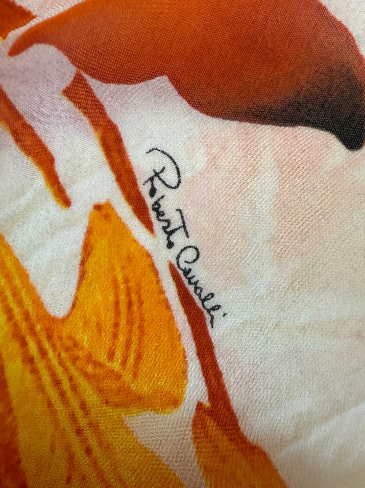 Roberto Cavalli silk scarf (pre-owned)