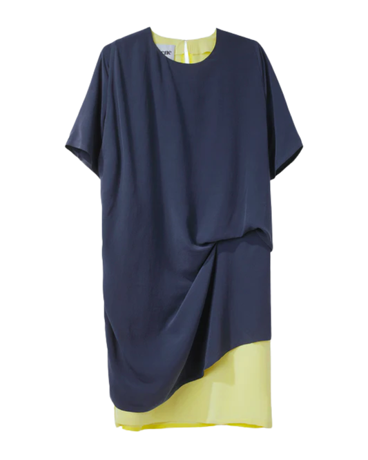 Acne Studios Mallory Navy And Yellow Silk Dress