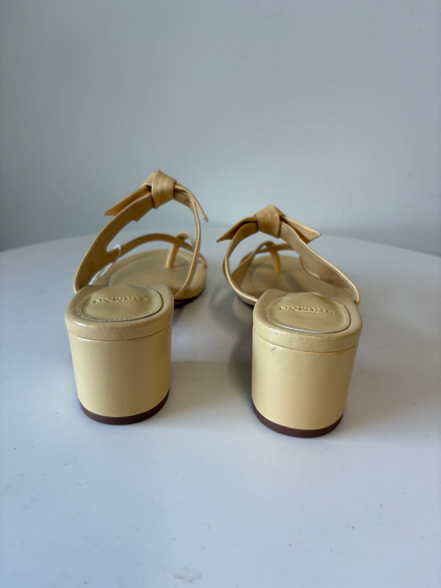 Alexandre Birman Beige Thong Sandals Low Block Heel