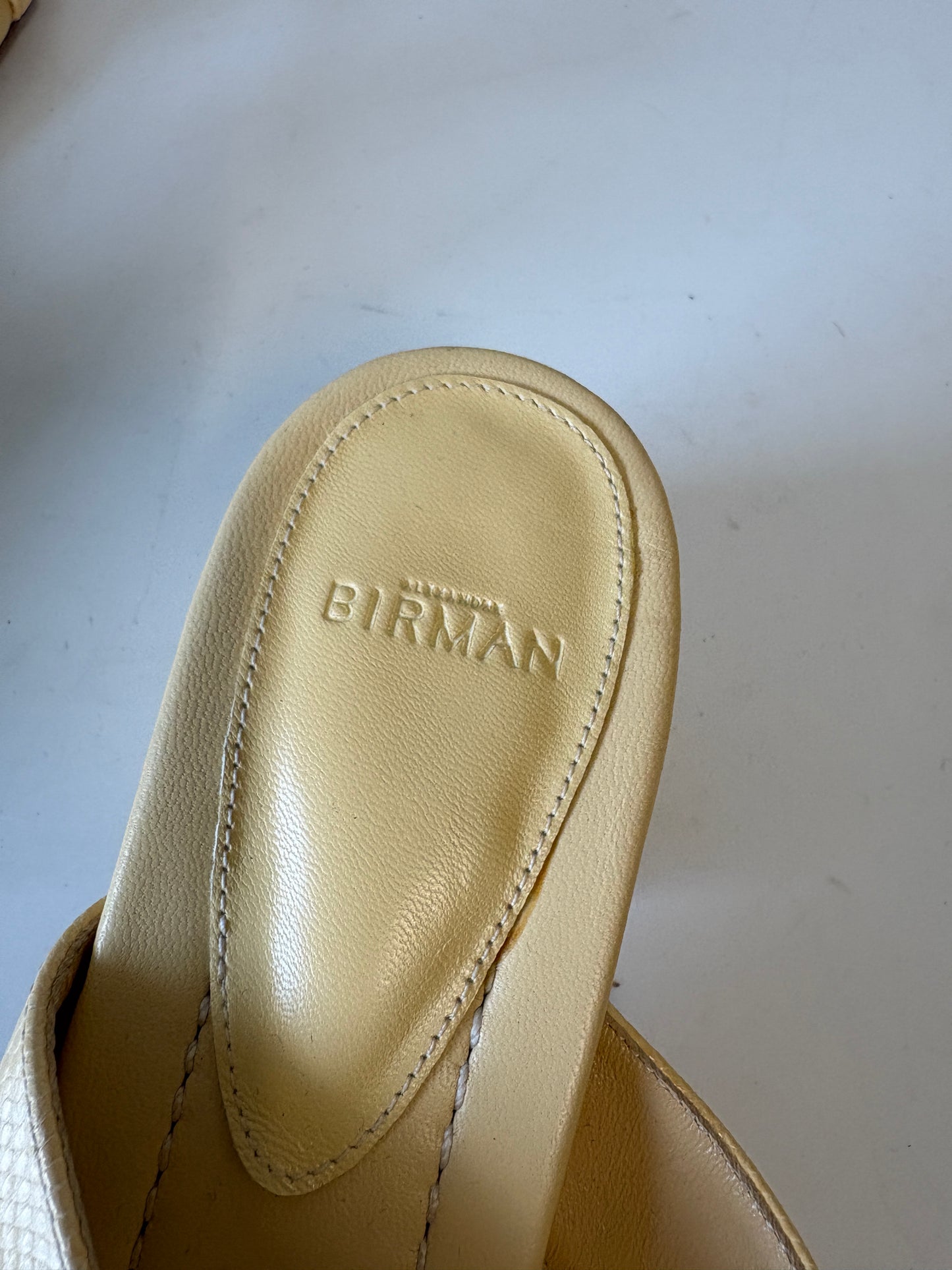 Alexandre Birman Beige Thong Sandals Low Block Heel