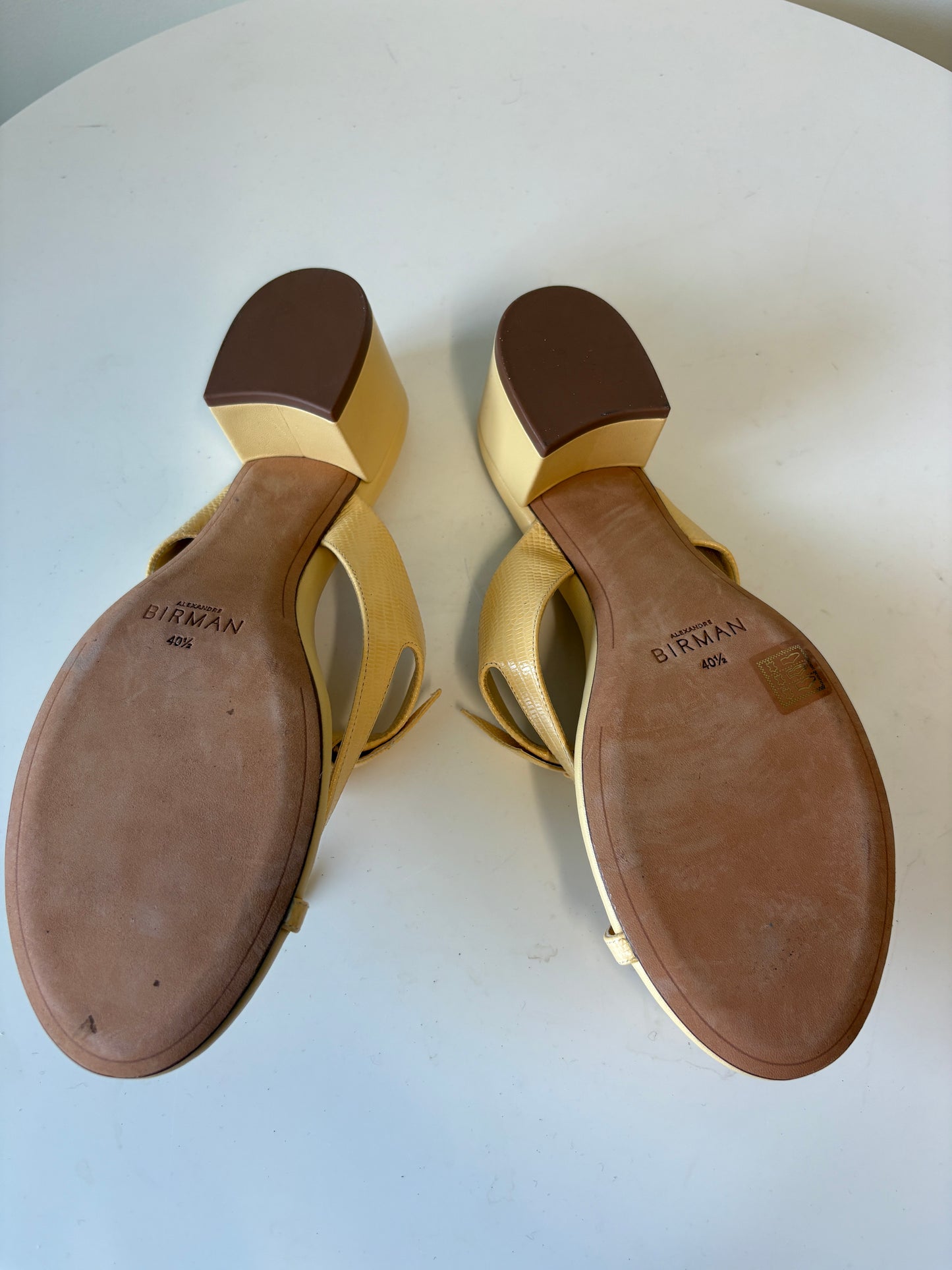 Alexandre Birman Beige Thong Sandals Low Block Heel