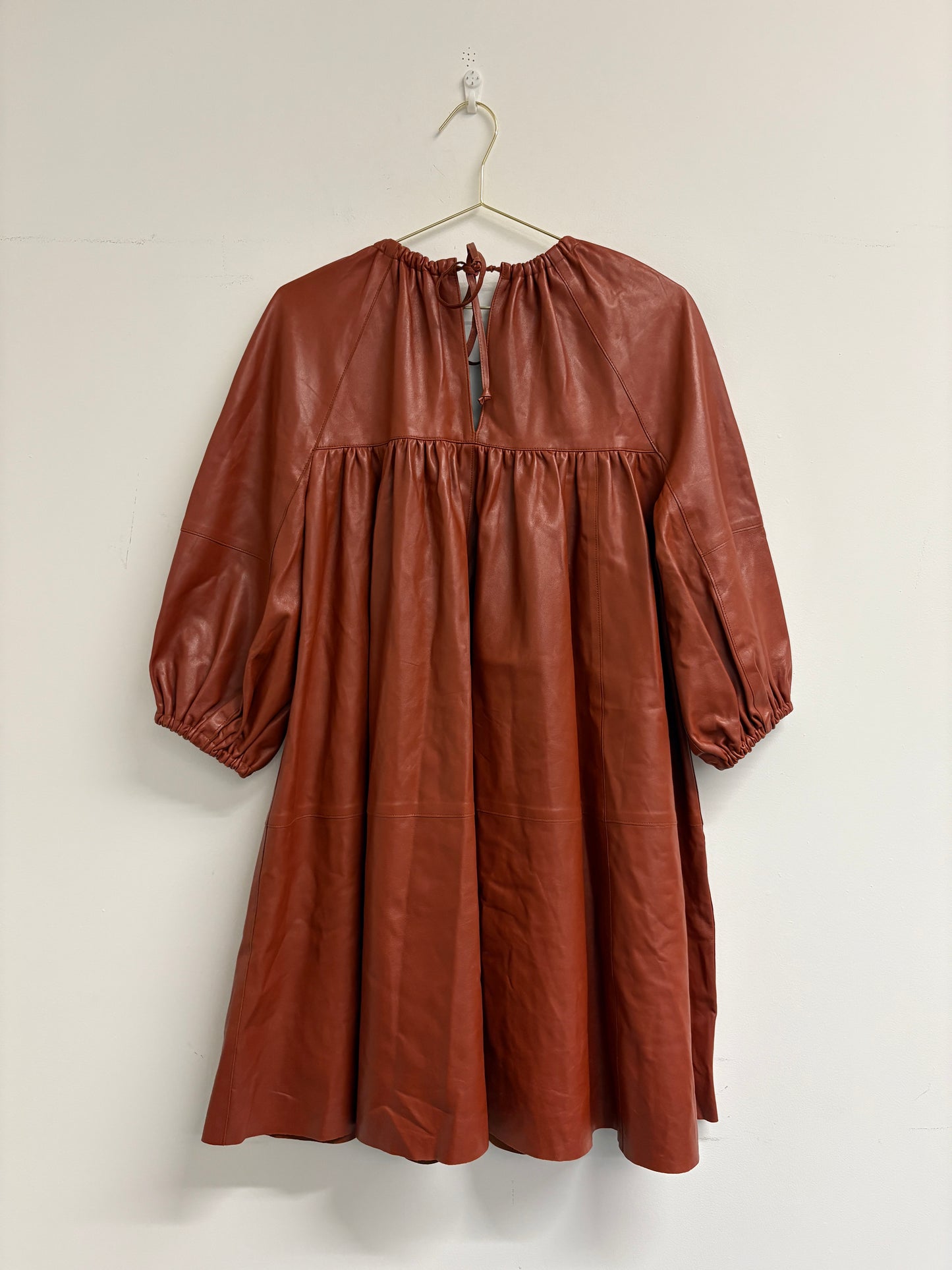 Aeron Rust Leather Mini Dress