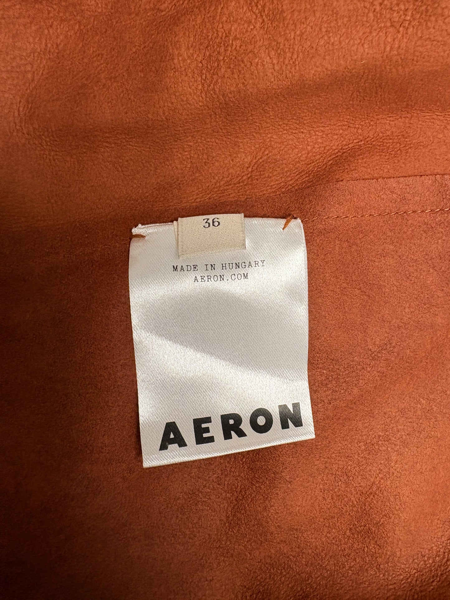 Aeron Rust Leather Mini Dress