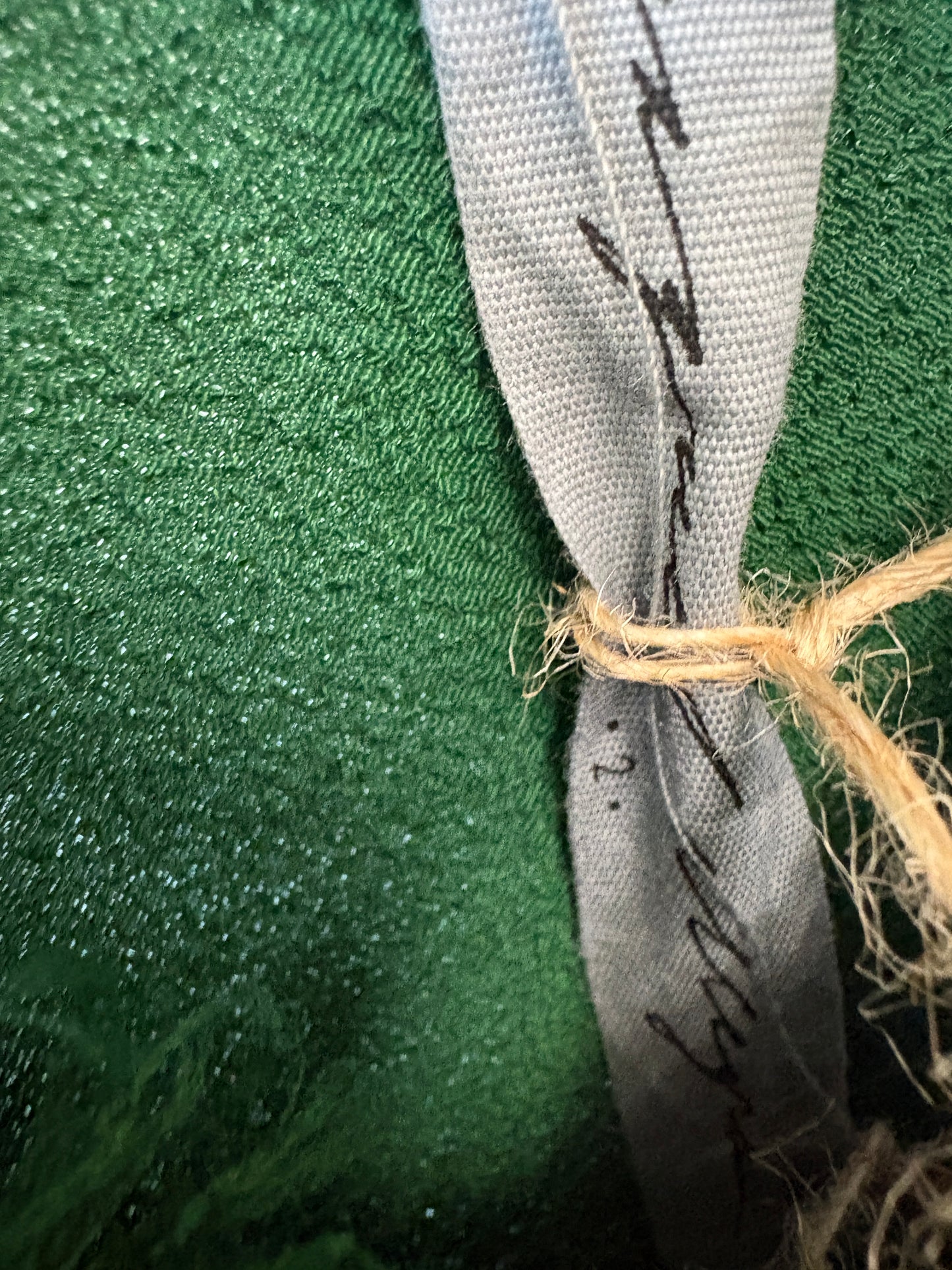 Raquel Allegra Green Fringe Top
