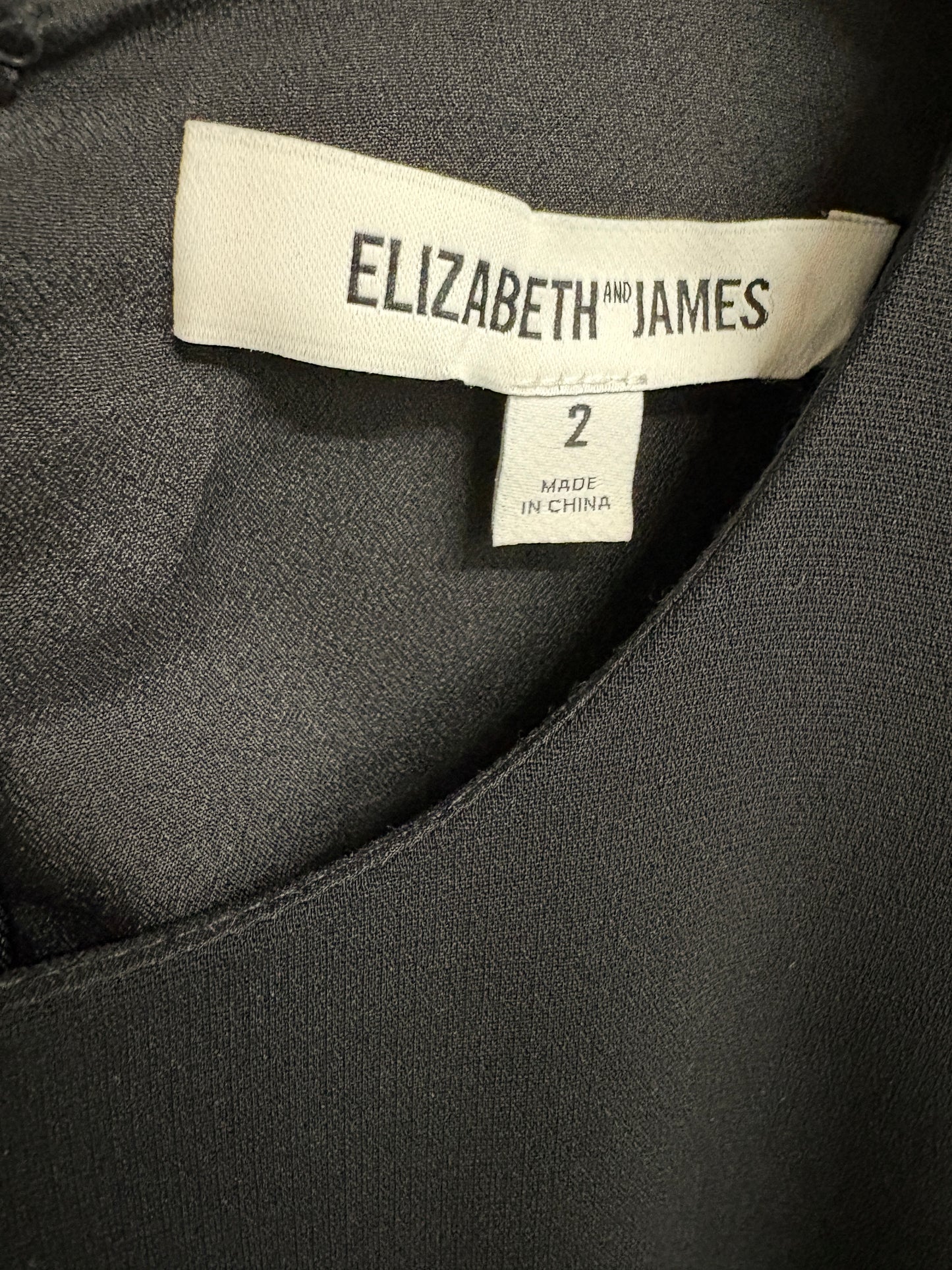 Elizabeth and James Serena Black Ostrich Feather Trim Mini Dress