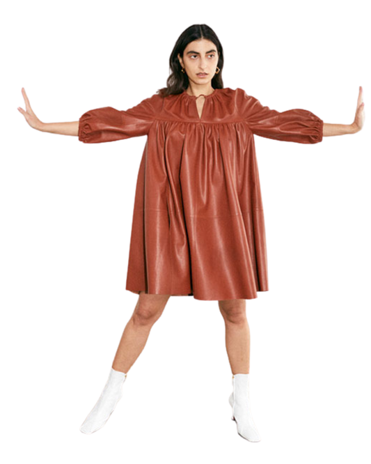 Aeron Rust Leather Mini Dress