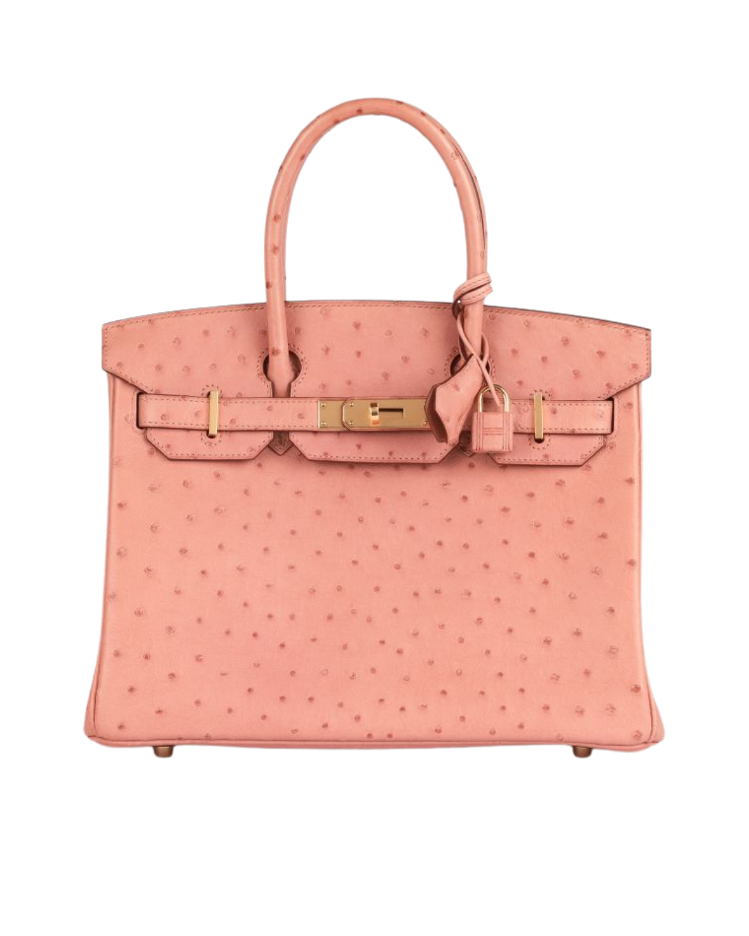 Hermès Terre Cuite Ostrich Leather Birkin 30cm